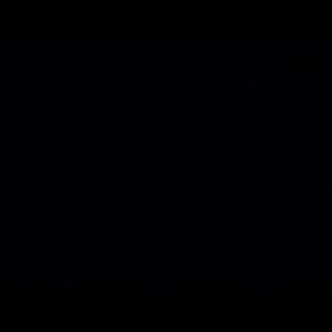 Meet your Posher, Liz